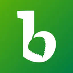 Birkenwerder App