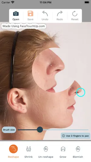 FaceTouchUp Nose Job Simulator截图5