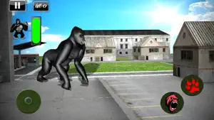 愤怒的大猩猩模拟器2017：疯狂的猴子生活截图2