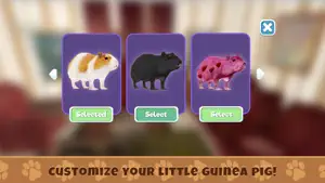 豚鼠模拟游戏截图4