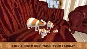 豚鼠模拟游戏截图3