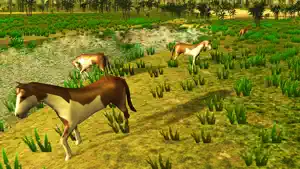马模拟器 - 终极野生动物截图5